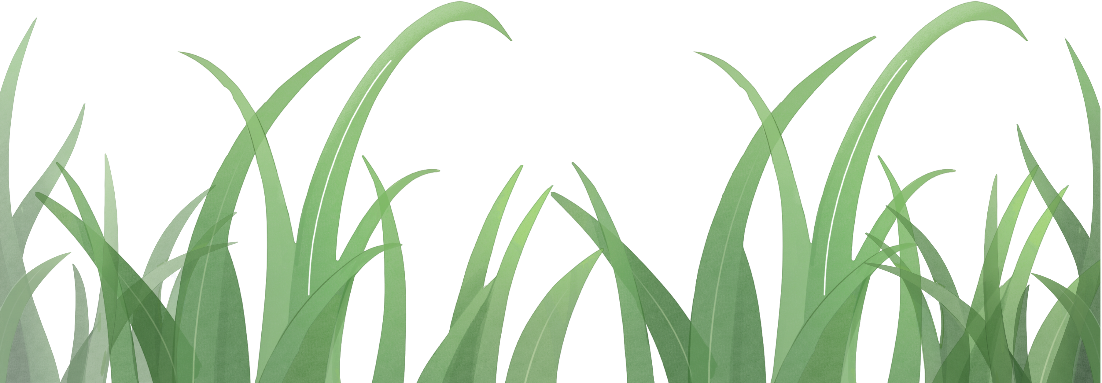 grass